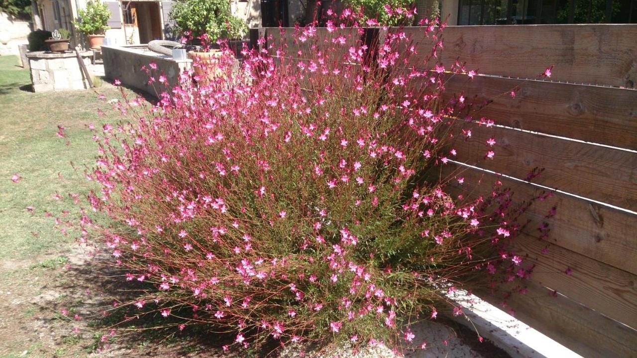 شقة Masribou2 Barbentane المظهر الخارجي الصورة
